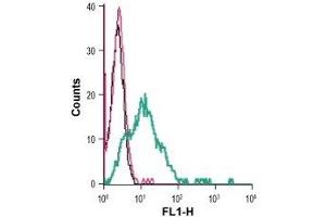 Cell surface detection of GLUT1 in human K562 chronic myeloid leukemia cells: (black line) Cells.