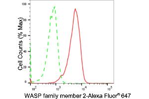 Flow cytometric analysis of WASP family member 2 expression in HAP-1 cells using WASP family member 2 antibody (ABIN7800985), 1:2,000). (Recombinant WASF2 anticorps)