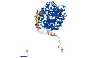 AlphaFold protein structure predicition of Human Recombinant PKLR Protein, UniprotID P30613