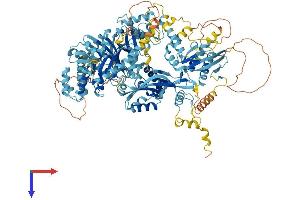 AlphaFold protein structure predicition of Mouse Recombinant Efl1 Protein, UniprotID Q8C0D5