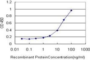 Detection limit for recombinant GST tagged CTBP1 is approximately 1ng/ml as a capture antibody. (CTBP1 anticorps  (AA 1-429))