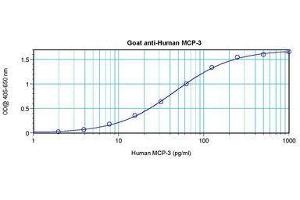 Image no. 3 for anti-Chemokine (C-C Motif) Ligand 7 (CCL7) antibody (ABIN465565) (CCL7 anticorps)