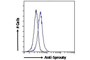 ABIN570913 Flow cytometric analysis of paraformaldehyde fixed HEK293 cells (blue line), permeabilized with 0.