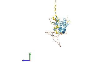 AlphaFold protein structure predicition of Human Recombinant RNF215 Protein, UniprotID Q9Y6U7