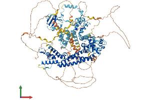 AlphaFold protein structure predicition of Mouse Recombinant Grid2ip Protein, UniprotID Q0QWG9