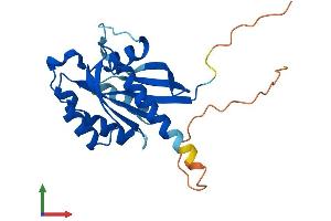 AlphaFold protein structure predicition of Mouse Recombinant Rab19 Protein, UniprotID P35294