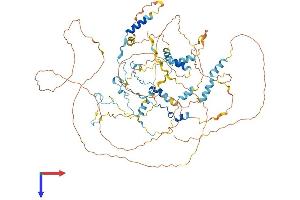 AlphaFold protein structure predicition of Mouse Recombinant Cast Protein, UniprotID P51125