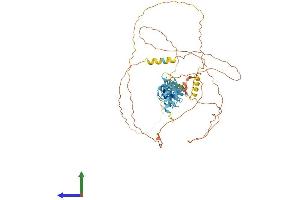 AlphaFold protein structure predicition of Mouse Recombinant Ajuba Protein, UniprotID Q91XC0