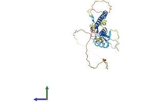 AlphaFold protein structure predicition of Mouse Recombinant Rph3al Protein, UniprotID Q768S4