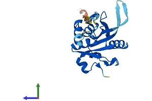 AlphaFold protein structure predicition of Human Recombinant JOSD2 Protein, UniprotID Q8TAC2