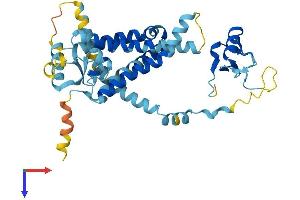 AlphaFold protein structure predicition of Mouse Recombinant Pex12 Protein, UniprotID Q8VC48