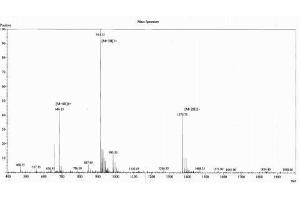 Image no. 1 for Urocortin 1 (UCN1) peptide (Ovalbumin) (ABIN5666400)