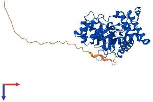 AlphaFold protein structure predicition of Mouse Recombinant Akr7a2 Protein, UniprotID Q8CG76