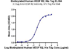 Immobilized Anti-VEGF R2 Antibody, hFc Tag at 0.