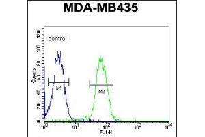 anti-Sphingomyelin phosphodiesterase, Acid-Like 3A (SMPDL3A) (AA 321-349), (C-Term) antibody