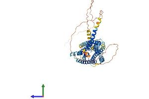 AlphaFold protein structure predicition of Human Recombinant GLP2R Protein, UniprotID O95838