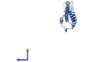 AlphaFold protein structure predicition of Human Recombinant RPL19 Protein, UniprotID P84098