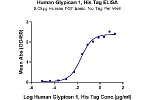 Immobilized Human FGF basic at 0. (GPC1 Protein (AA 24-530) (His tag))