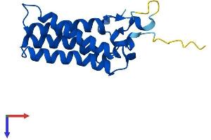 AlphaFold protein structure predicition of Mouse Recombinant Ormdl3 Protein, UniprotID Q9CPZ6