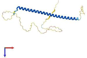 AlphaFold protein structure predicition of Human Recombinant BLOC1S3 Protein, UniprotID Q6QNY0