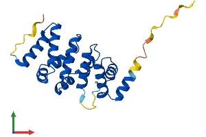 AlphaFold protein structure predicition of Human Recombinant ARMC7 Protein, UniprotID Q9H6L4
