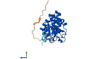AlphaFold protein structure predicition of Mouse Recombinant Dusp21 Protein, UniprotID Q9D9D8