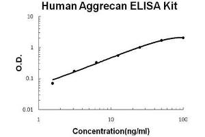 Human Aggrecan PicoKine ELISA Kit standard curve (Aggrecan Kit ELISA)