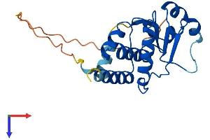 AlphaFold protein structure predicition of Human Recombinant DUSP26 Protein, UniprotID Q9BV47
