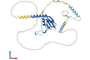 AlphaFold protein structure predicition of Human Recombinant RBM48 Protein, UniprotID Q5RL73