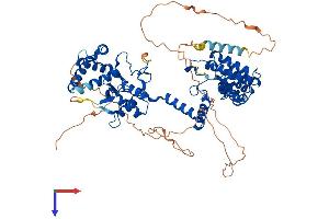 AlphaFold protein structure predicition of Mouse Recombinant Rgs9 Protein, UniprotID O54828