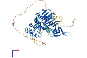 AlphaFold protein structure predicition of Human Recombinant ANKRD13C Protein, UniprotID Q8N6S4