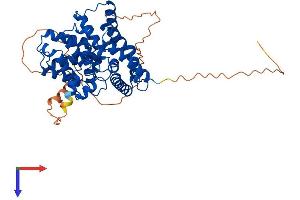 AlphaFold protein structure predicition of Human Recombinant PDE7B Protein, UniprotID Q9NP56