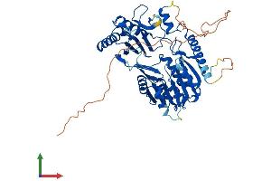 AlphaFold protein structure predicition of Human Recombinant TRMT2B Protein, UniprotID Q96GJ1