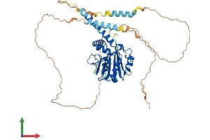 AlphaFold protein structure predicition of Human Recombinant RRP8 Protein, UniprotID O43159