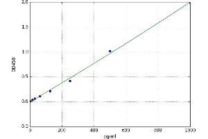 A typical standard curve