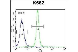 LRIT1 Antibody (C-term) (ABIN655361 and ABIN2844919) flow cytometric analysis of K562 cells (right histogram) compared to a negative control cell (left histogram). (LRIT1 anticorps  (C-Term))
