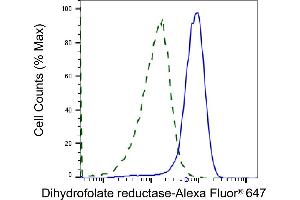 Validation of Dihydrofolate reductase knockdown using flow cytometry.