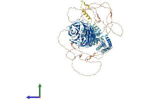 AlphaFold protein structure predicition of Mouse Recombinant Sec31a Protein, UniprotID Q3UPL0