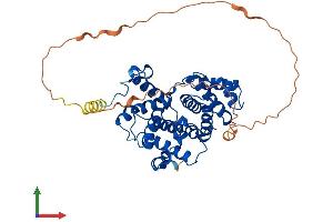 AlphaFold protein structure predicition of Human Recombinant CCNB2 Protein, UniprotID O95067