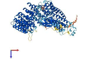 AlphaFold protein structure predicition of Mouse Recombinant Ints7 Protein, UniprotID Q7TQK1