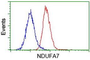 Flow cytometric Analysis of Hela cells, using anti-NDUFA7 antibody (ABIN2454469), (Red), compared to a nonspecific negative control antibody, (Blue). (NDUFA7 anticorps)
