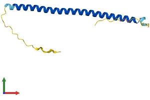 AlphaFold protein structure predicition of Mouse Recombinant Batf3 Protein, UniprotID Q9D275