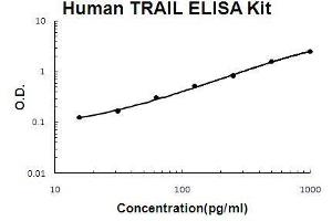 Human TRAIL PicoKine ELISA Kit standard curve (TRAIL Kit ELISA)