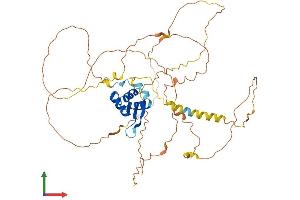 AlphaFold protein structure predicition of Human Recombinant FOXD3 Protein, UniprotID Q9UJU5