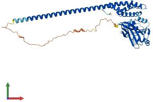 AlphaFold protein structure predicition of Mouse Recombinant Stambp Protein, UniprotID Q9CQ26