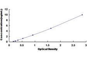 Ornithine Decarboxylase 1 (ODC1) ELISA Kit