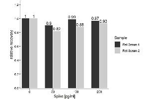 The Rat Aβ1-42 (Amyloid Beta 1-42) ELISA Kitwas tested for Spiking and Recovery. (Abeta 1-42 Kit ELISA)
