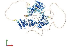 AlphaFold protein structure predicition of Mouse Recombinant Eif4g2 Protein, UniprotID Q62448