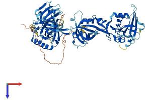 AlphaFold protein structure predicition of Mouse Recombinant Pot1 Protein, UniprotID Q91WC1