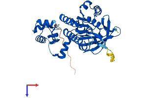 AlphaFold protein structure predicition of Human Recombinant DMC1 Protein, UniprotID Q14565